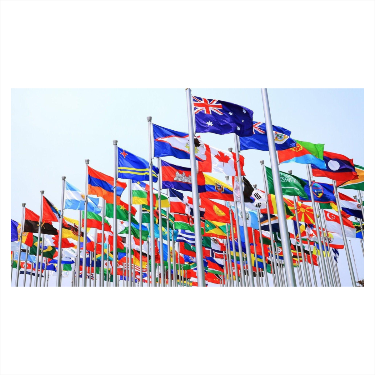 Many national flags waving on poles.