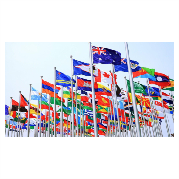 Many national flags waving on poles.